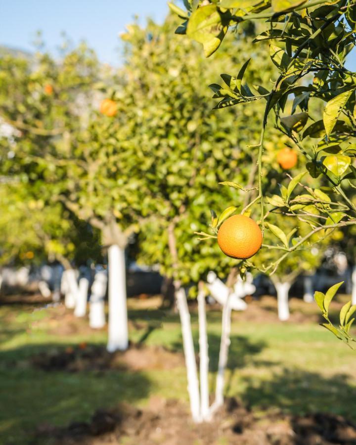 Çıralı Oase Garden Hotel מראה חיצוני תמונה